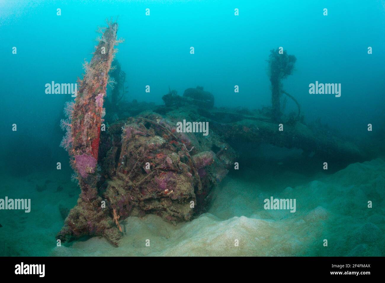 Motore di punta del relitto di aerei Dive Bomber Dauntless, Laguna di Marovo, Isole Salomone Foto Stock