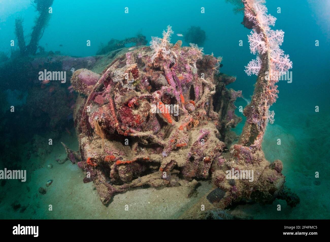 Motore di punta del relitto di aerei Dive Bomber Dauntless, Laguna di Marovo, Isole Salomone Foto Stock