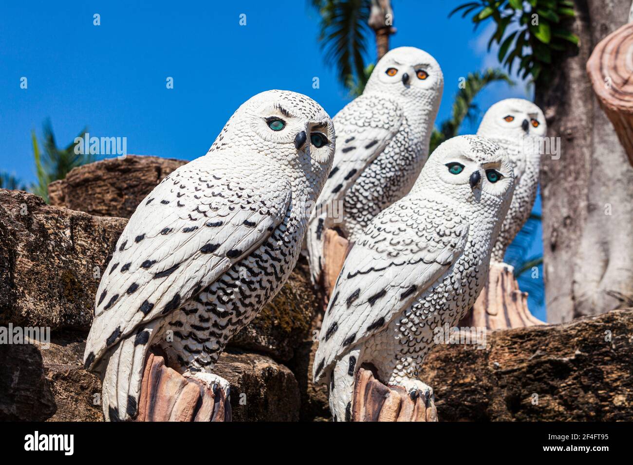 Pattaya, Thailandia -​ 2 maggio, 2019​: Statua uno zoo gufo Valley​ nel giardino di Nong Nooch​, turisti ​ viaggiare a beautiful​ Garden​ nel mondo di the​, Pattaya Foto Stock