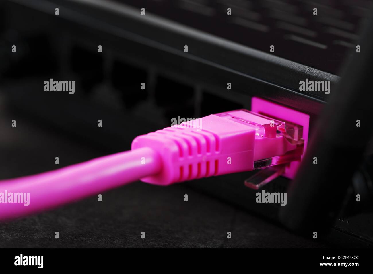 Un cavo patch rosa è inserito nella porta Wi-Fi del router per accedere a Internet. Connessione a Internet via cavo con un router. Macro, primo piano Foto Stock
