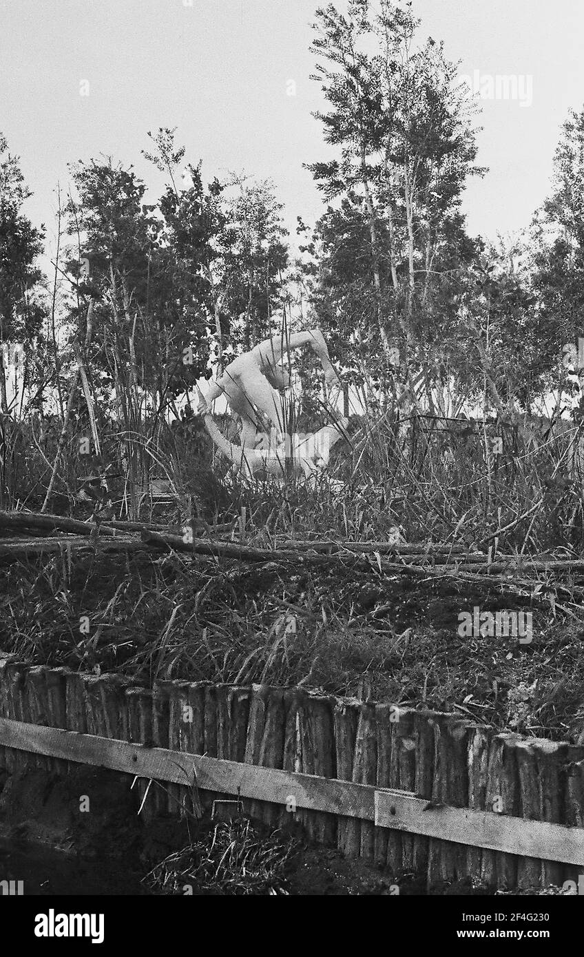 Resort costruito su palude drenata vicino a Baia dei Pigs, Cuba, provincia di Matanzas, Playa Giron, visto dalla barca sul canale, 1963. Dalla collezione di fotografie Deena Stryker. () Foto Stock