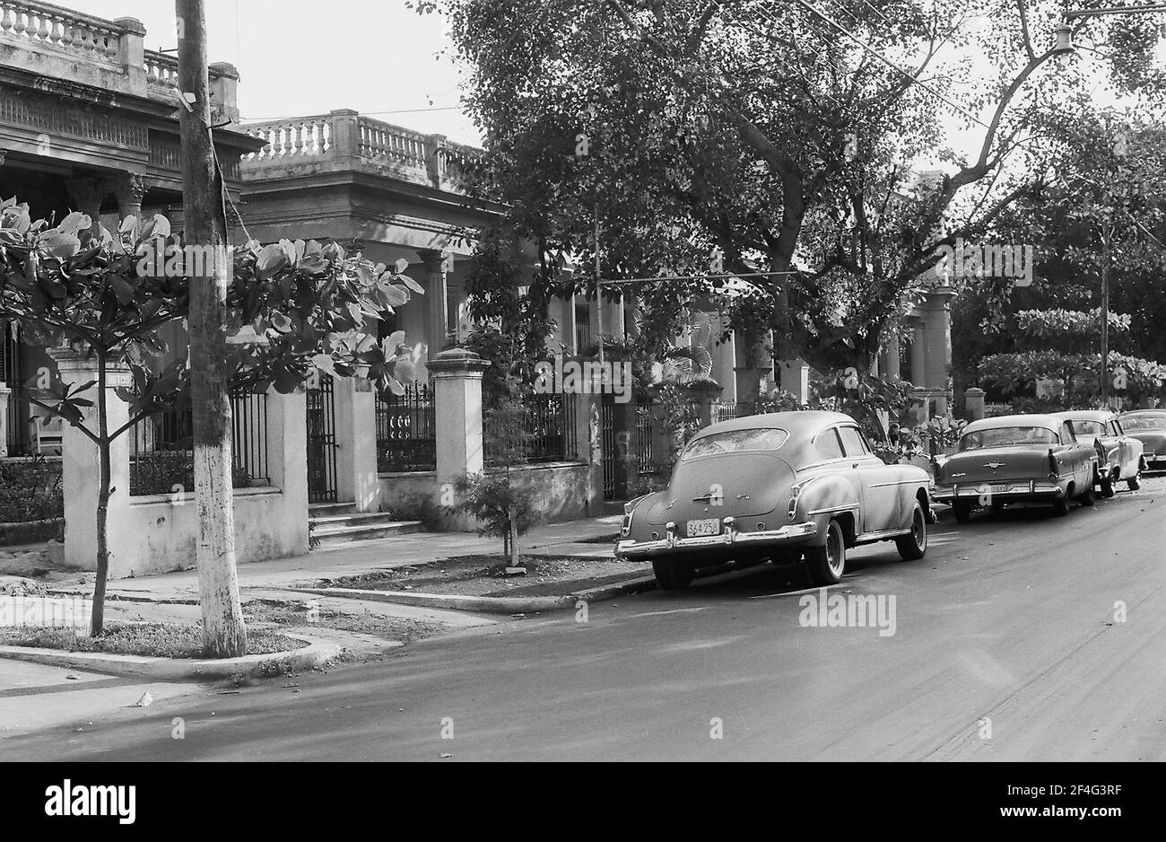 Auto d'epoca parcheggiate sul lato di una strada residenziale alberata con edifici coloniali recintati, nel quartiere di Vedado, l'Avana, Cuba, 1964. Dalla collezione di fotografie Deena Stryker. () Foto Stock
