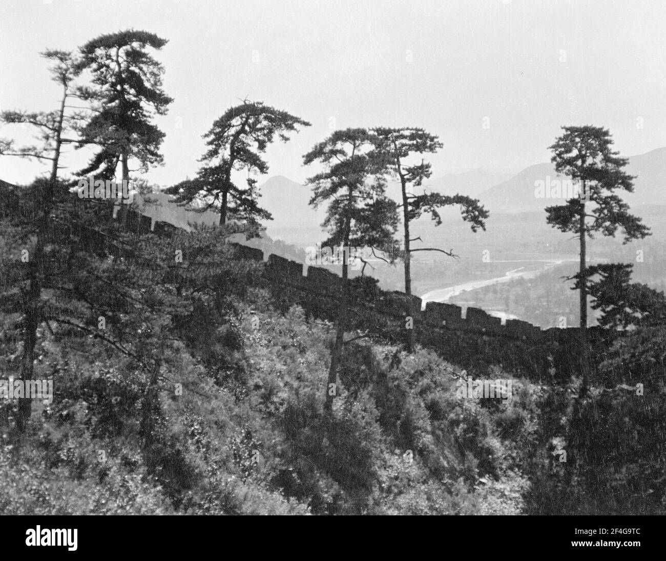 Muro e pini, Cina, Rehe Sheng (Cina), Hebei Sheng (Cina), 1924. Dalla collezione di fotografie di Sidney D. Gamble. () Foto Stock