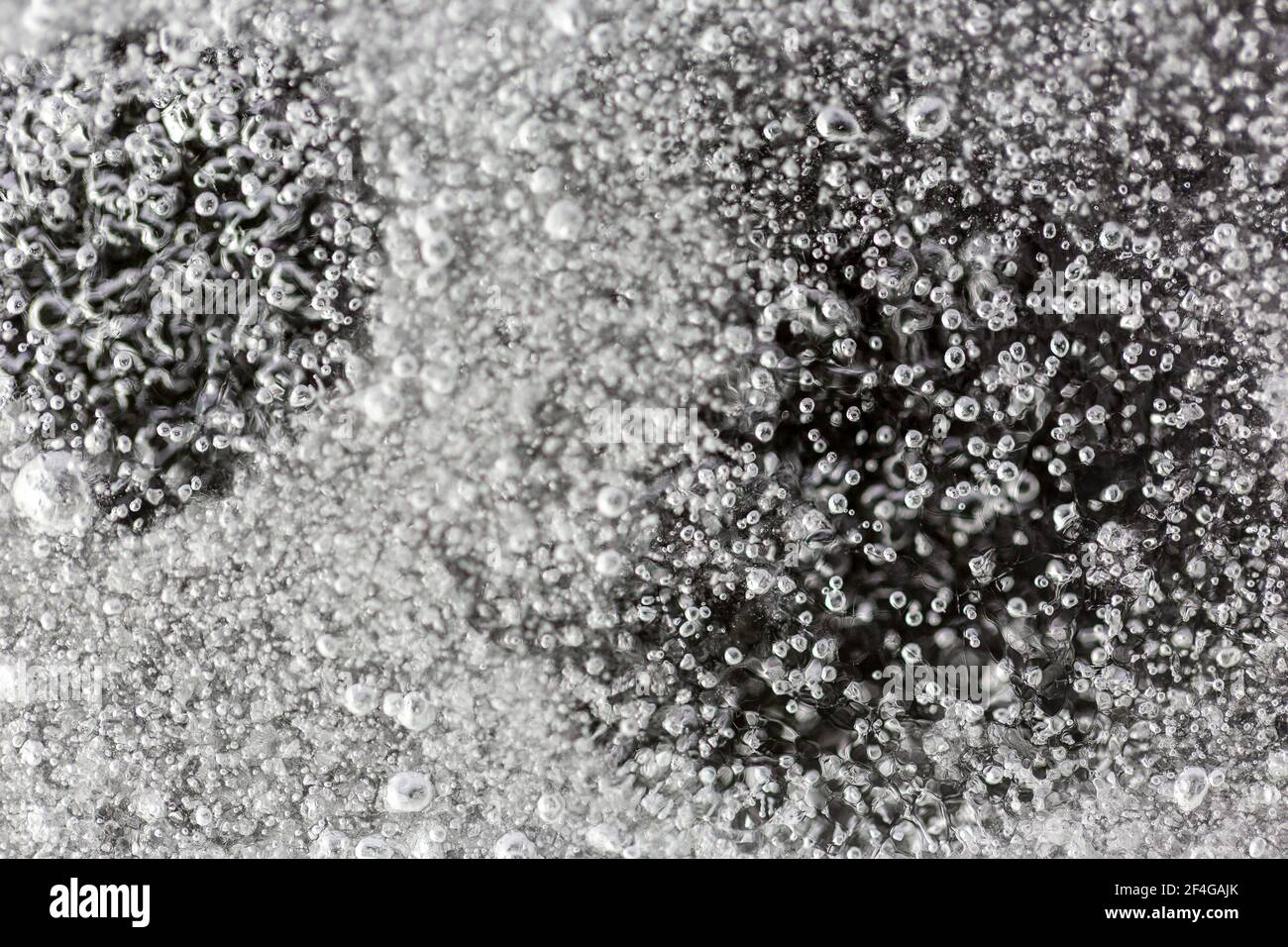 Macro shot di minuscole bolle d'aria intrappolate in un foglio di ghiaccio nel giardino, sparato con una luce stroboscopica flash per illuminare il ghiaccio Foto Stock