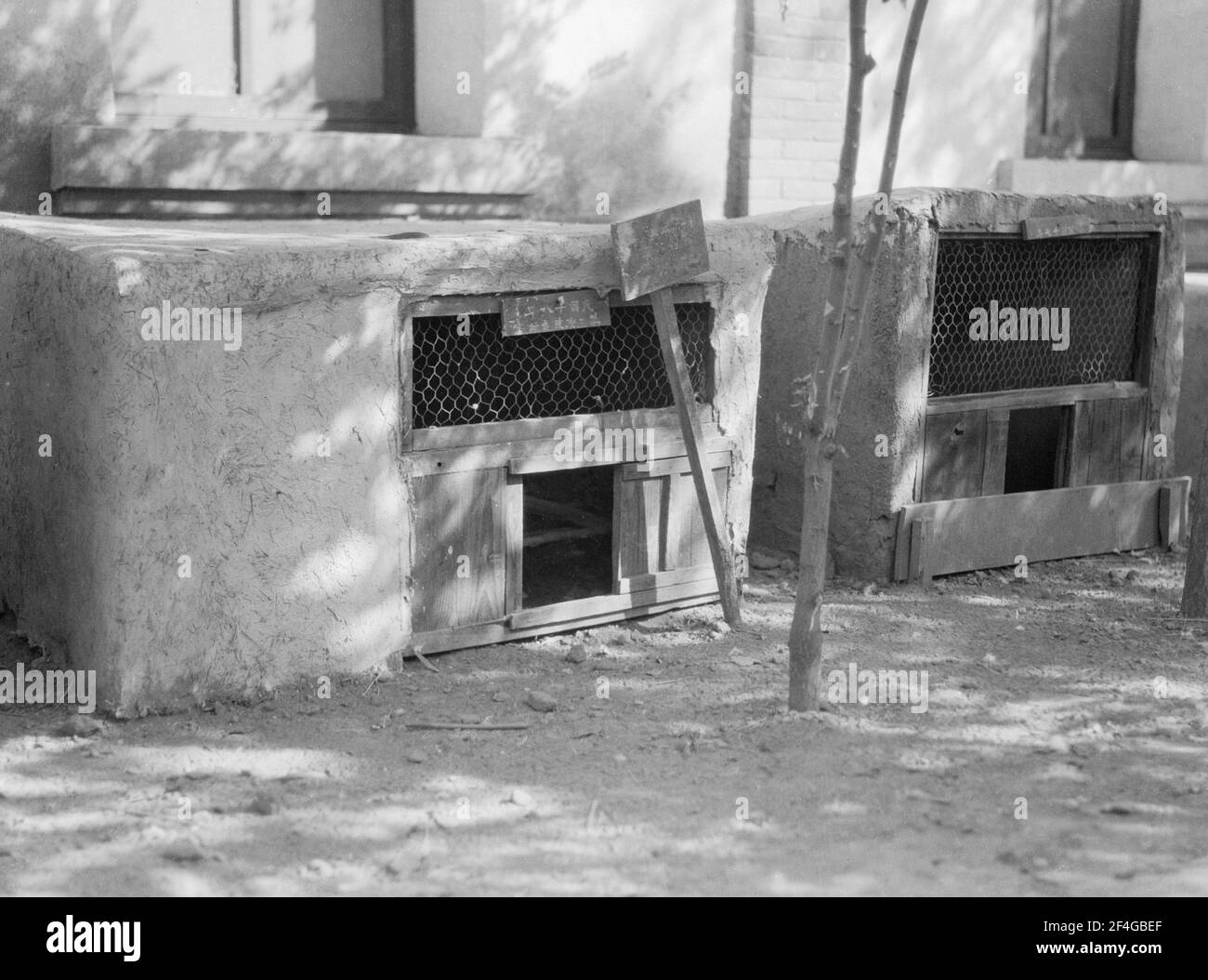 Modello Chicken House, Cina, Ding Xian (Cina), Dingzhou Shi (Cina), Hebei Sheng (Cina), 1931. Dalla collezione di fotografie Sidney D. Gamble. () Foto Stock
