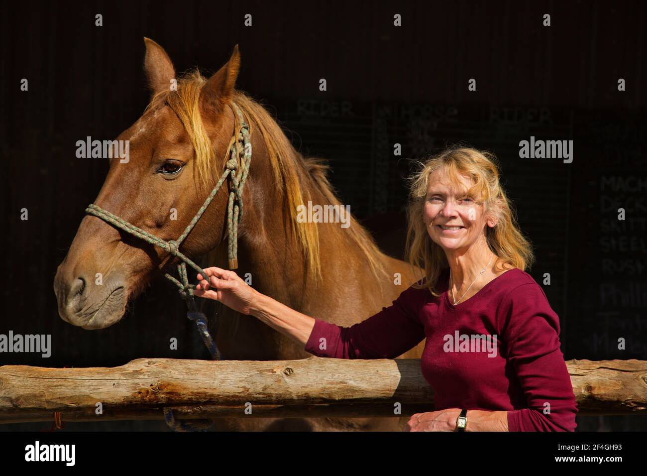 Signora di mezza età che tiene un cavallo Foto Stock