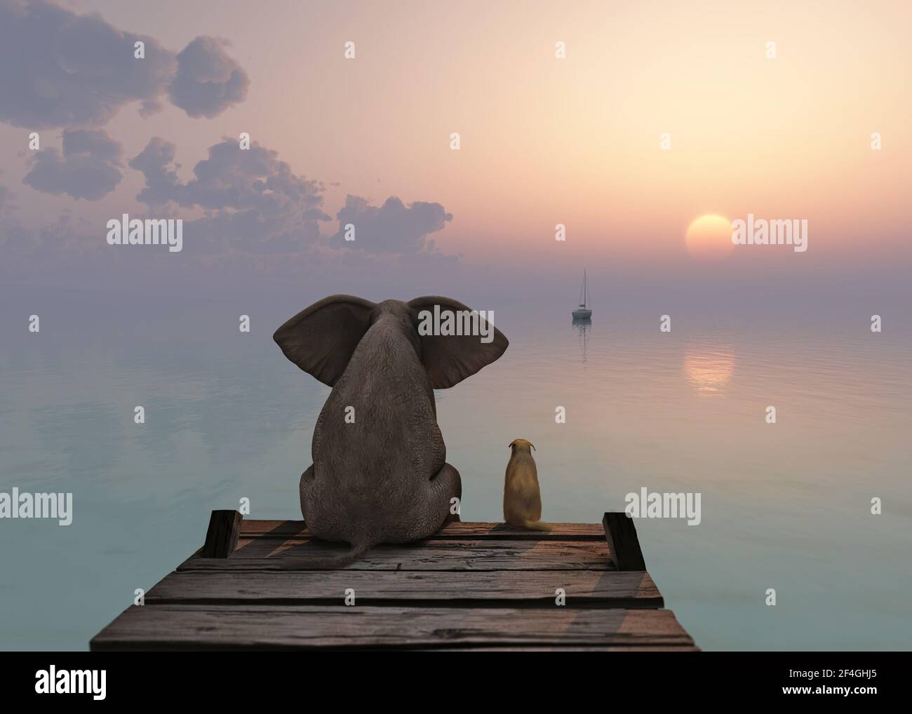 elefante e cane siedono sul molo Foto Stock