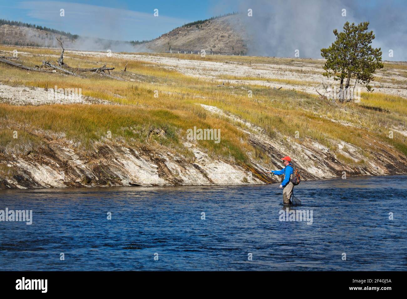 L'uomo pesca a mosca sul fiume firehole in yellowston nazionale parcheggio Foto Stock