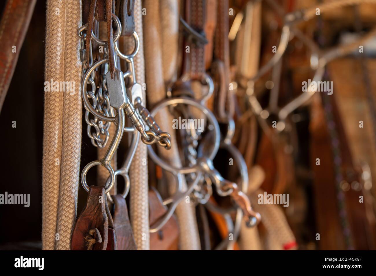 USA, Colorado, Custer County, Westcliffe, Music Meadows Ranch. Spazio di gioco. Proprietà rilasciata. Foto Stock