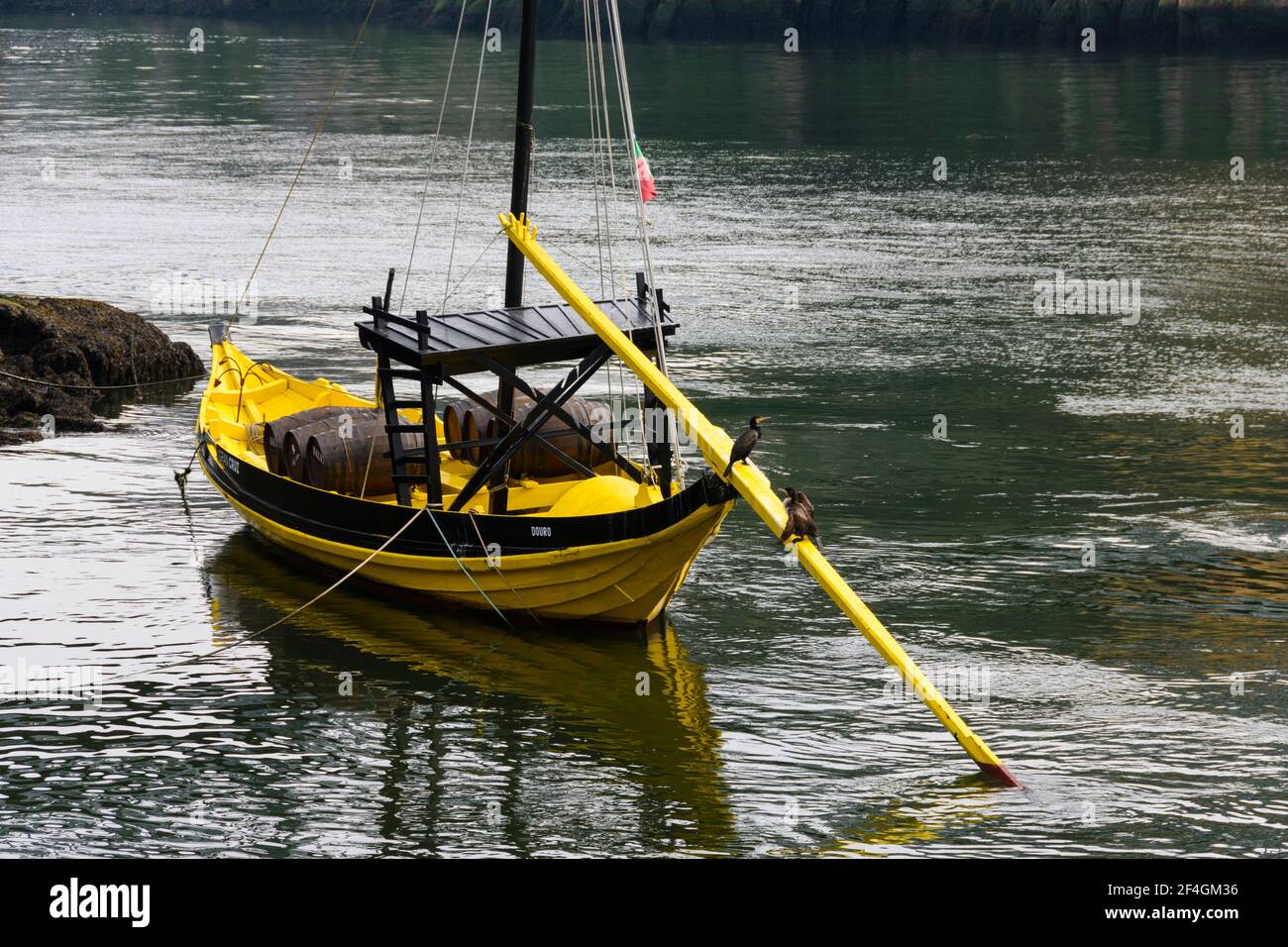 Conchiglie gialle tradizionali, ormeggiate al Cai da Ribeira. Porto, Portogallo. Foto Stock