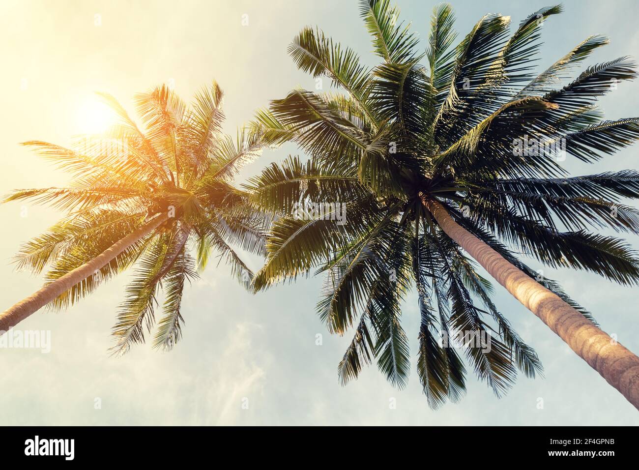 Bella spiaggia tropicale sfondo. Palme da cocco e nuvole su cielo blu in tonalità vintage. Concetto di vacanza estiva con palme da cocco. Foto Stock