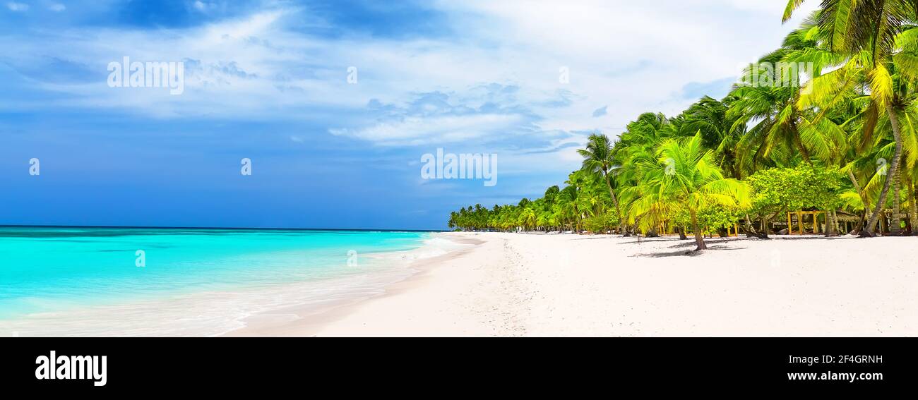 Panorama di spiaggia di sabbia bianca con palme da cocco nel Mar dei Caraibi, isola di Saona. Repubblica Dominicana Estate spiaggia sfondo. Foto Stock