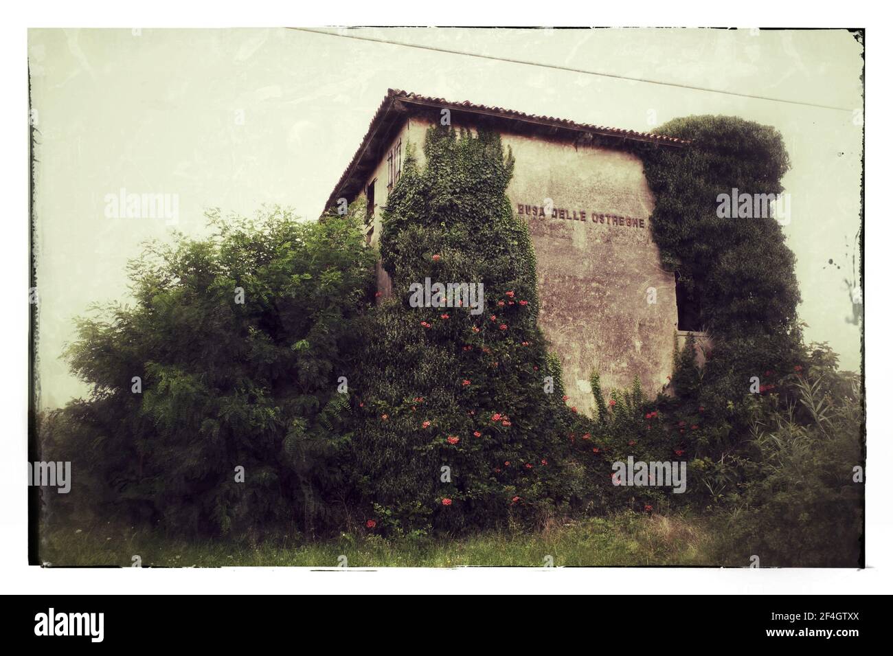 Le case sono per la maggior parte mostrate case coloniche. Lasciati, ma un fascino inconfondibile, testimoniano la storia di questa terra . Testimoni, la natura ora a. Foto Stock