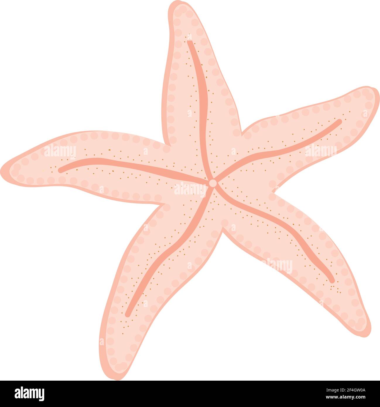 stella marina rosa isolato Illustrazione Vettoriale