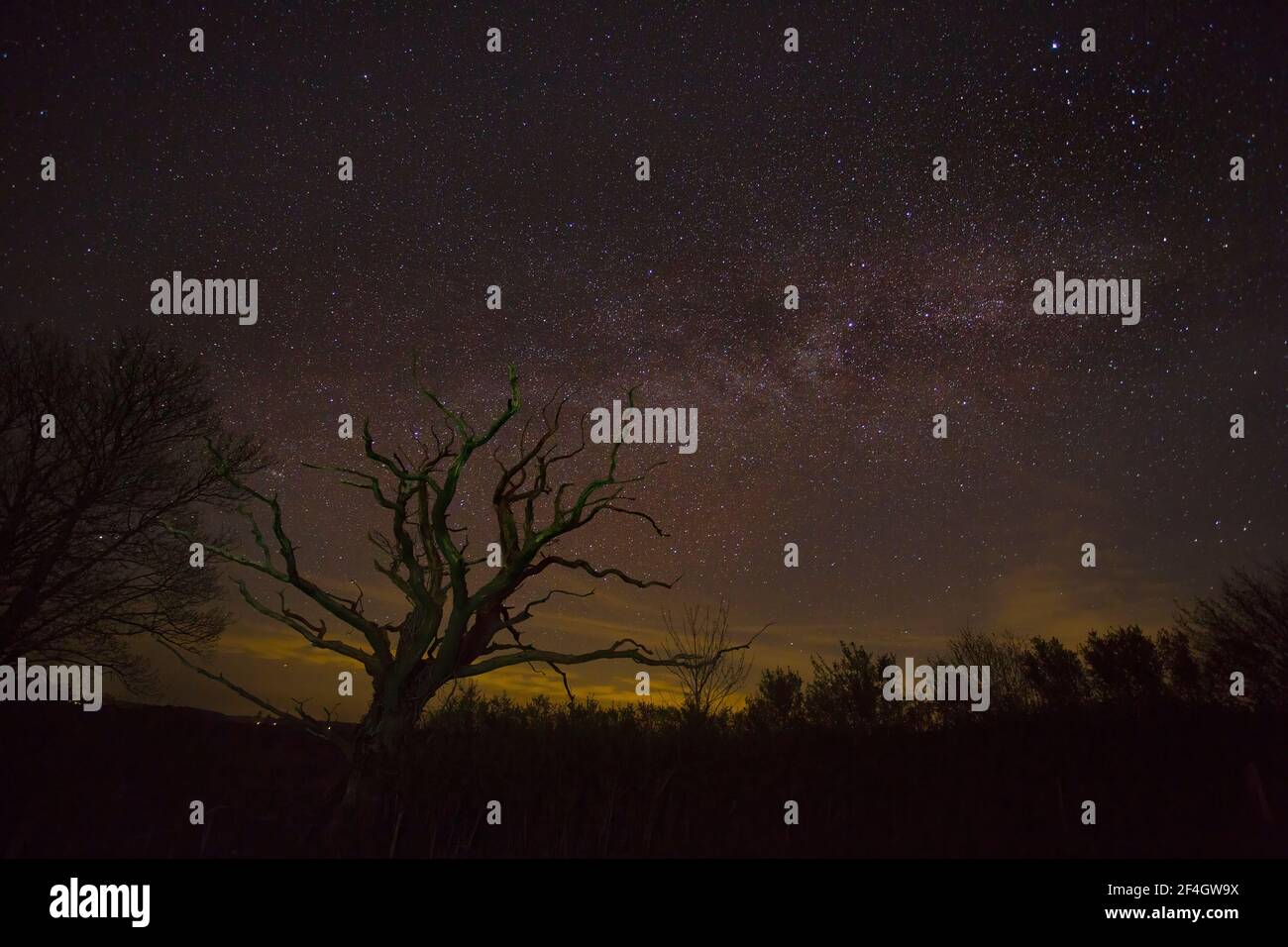 milkyway nel cielo notturno Foto Stock
