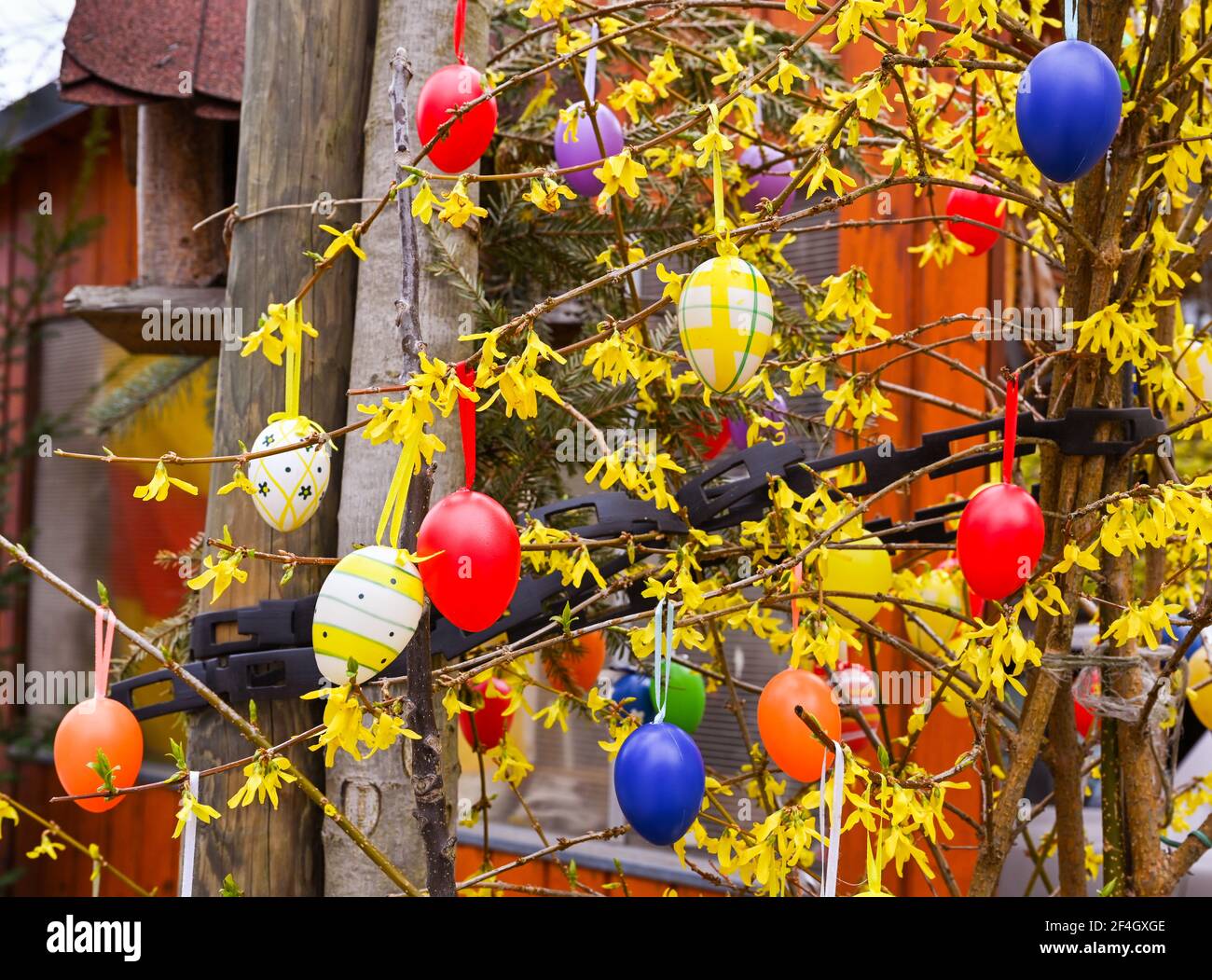 Albero di Pasqua decorato con uova di Pasqua colorate Foto Stock