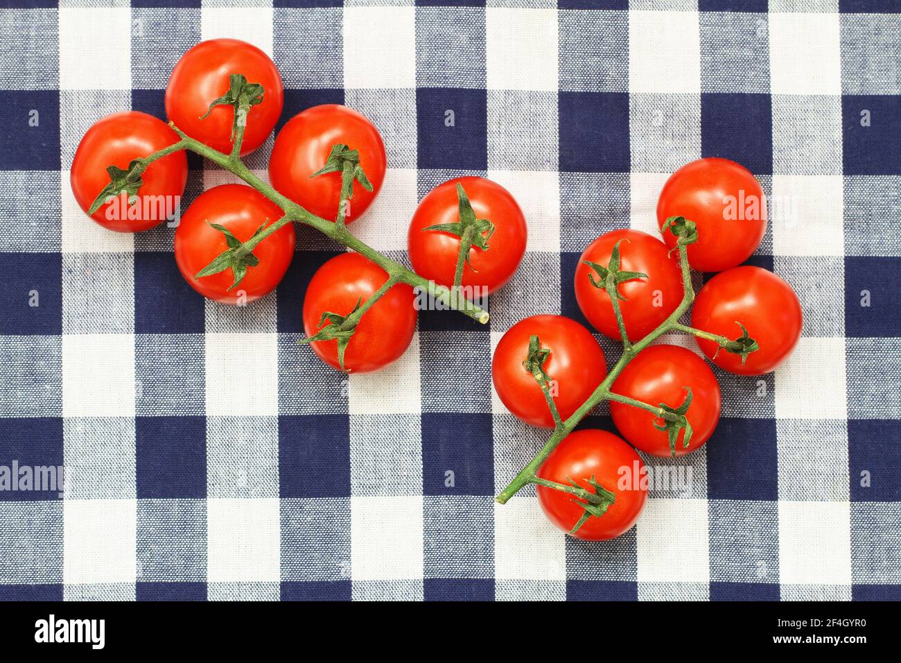 Succosi pomodori ciliegini sul gambo su un panno a scacchi Foto Stock