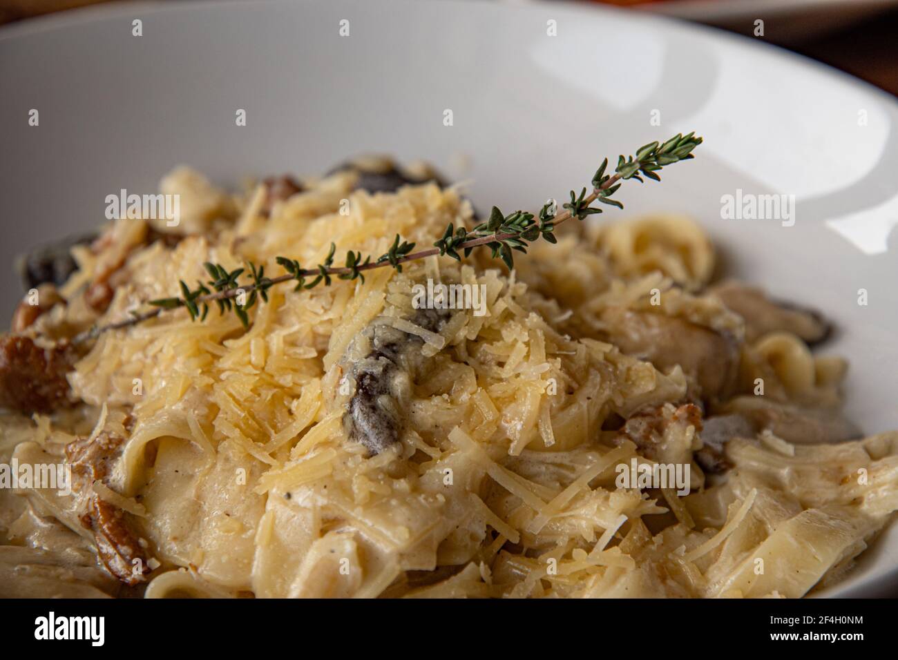 Pasta Italiana fettuccine Alfredo con salsa bianca e rametto di condimento al timo verde. Parmigiano grattugiato che copre la pasta servita in piatto bianco. Vai Foto Stock