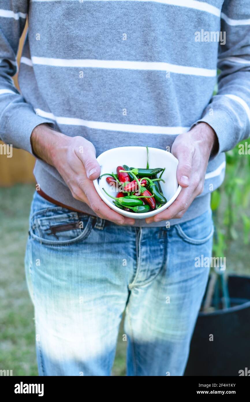 persona che tiene una ciotola bianca riempita di rosso e verde jalapenos Foto Stock