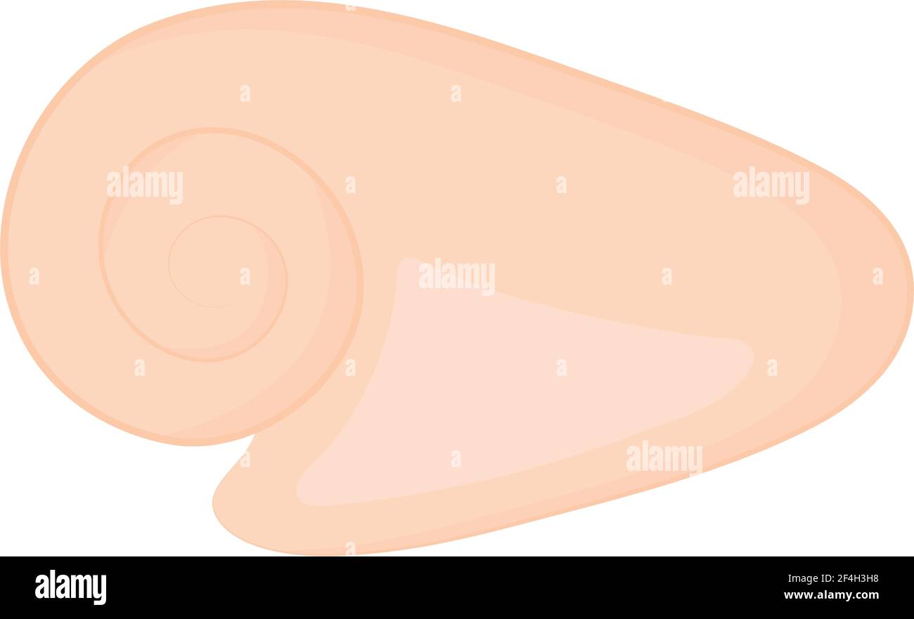 chiocciola isolata Illustrazione Vettoriale