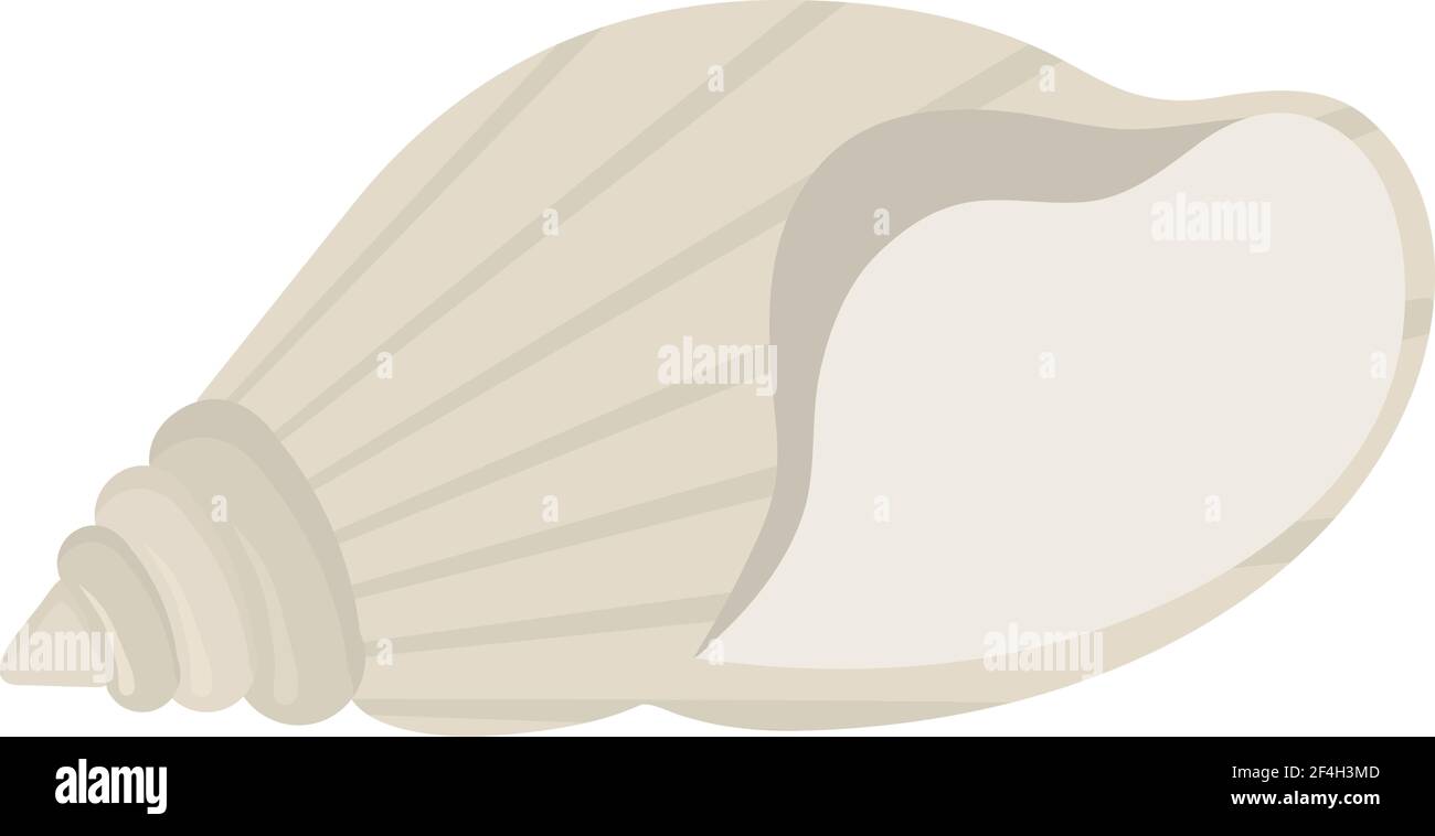 seashell bianco isolato Illustrazione Vettoriale