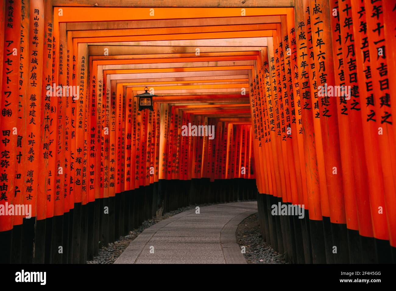 Percorso torii porte al Santuario di Fushimi Inari di notte e pioggia Kyoto, Giappone. Foto Stock