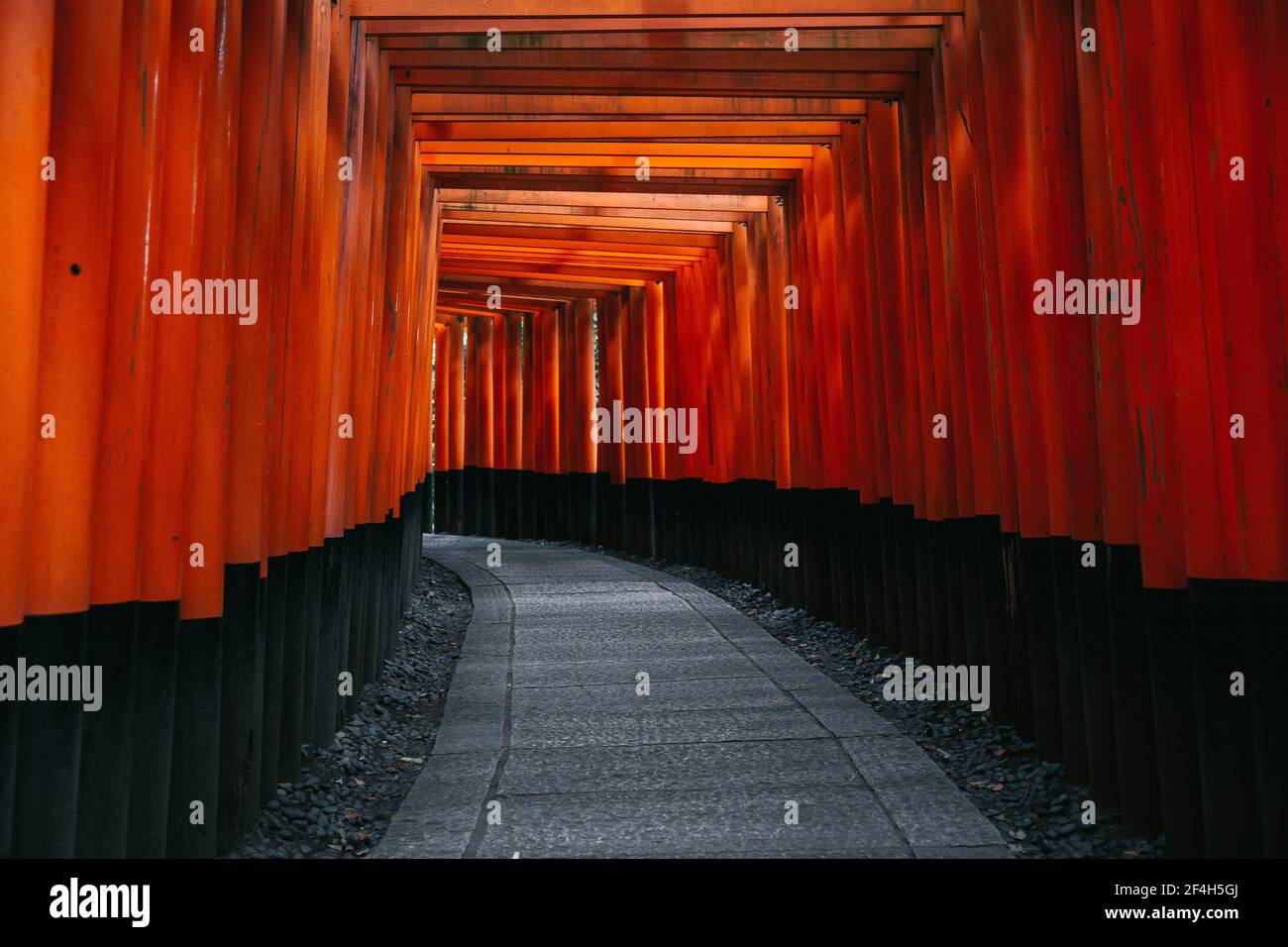 Percorso torii porte al Santuario di Fushimi Inari di notte e pioggia Kyoto, Giappone. Foto Stock