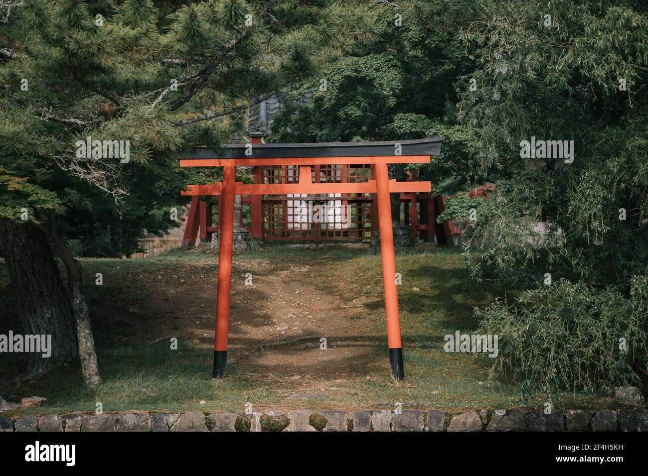 Pathway torii porte con sfondo verde foglie Foto Stock