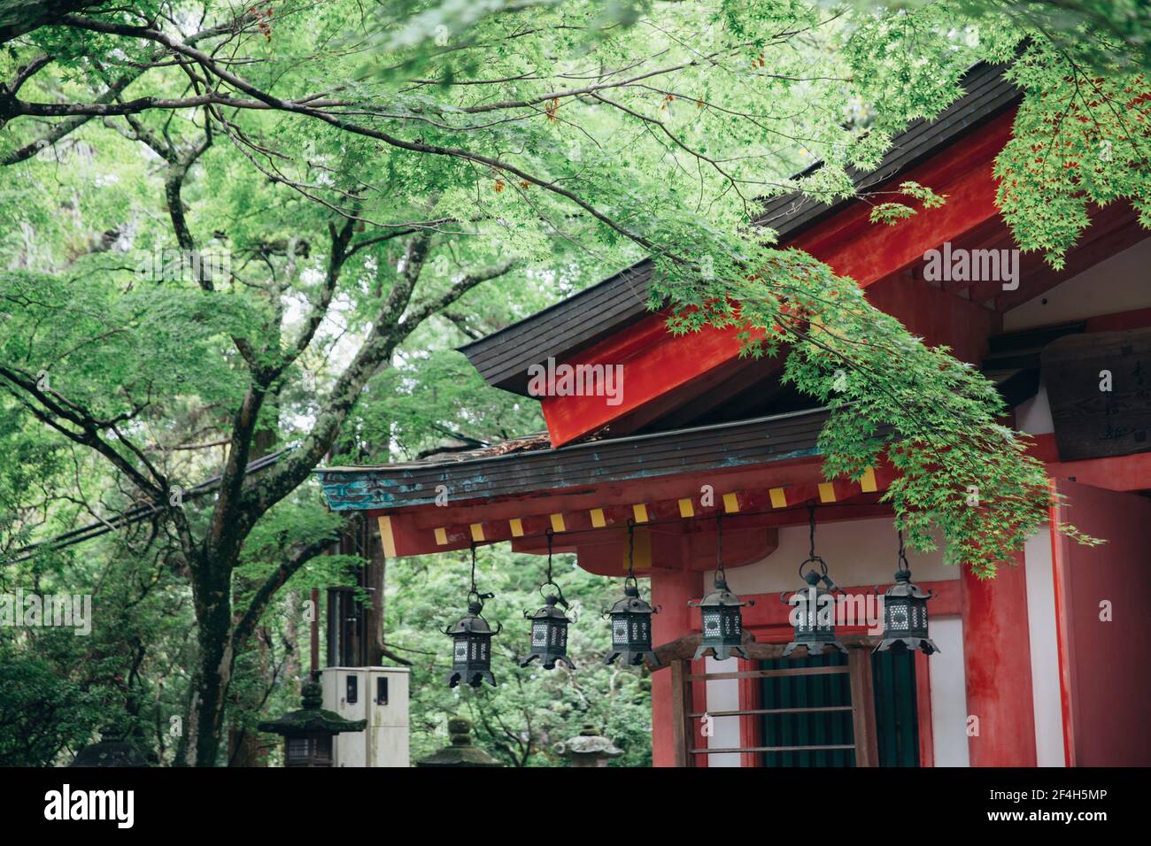 Tempio giapponese con foglie di acero giapponese in annata Kyoto stile pellicola Foto Stock