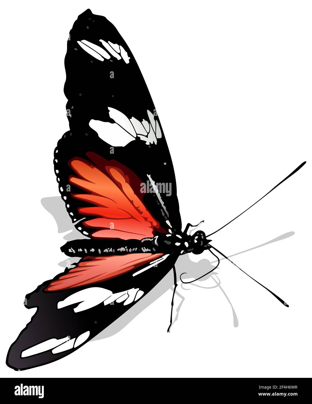 Portalettere Butterfly Illustrazione Vettoriale