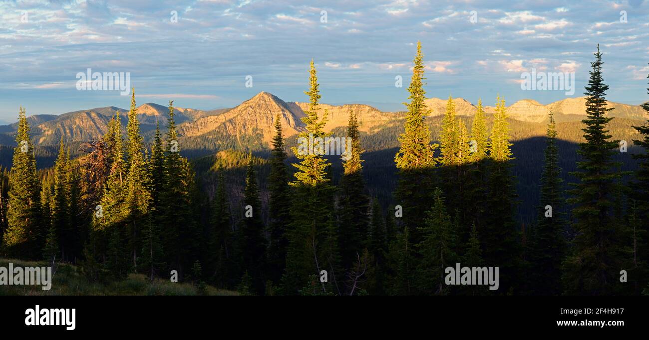 Vista della catena montuosa delle Whitefish con Stahl Peak sullo sfondo dal Monte WAM. Kootenai National Forest, Montana nord-occidentale. (Foto di Randy Beacham) Foto Stock