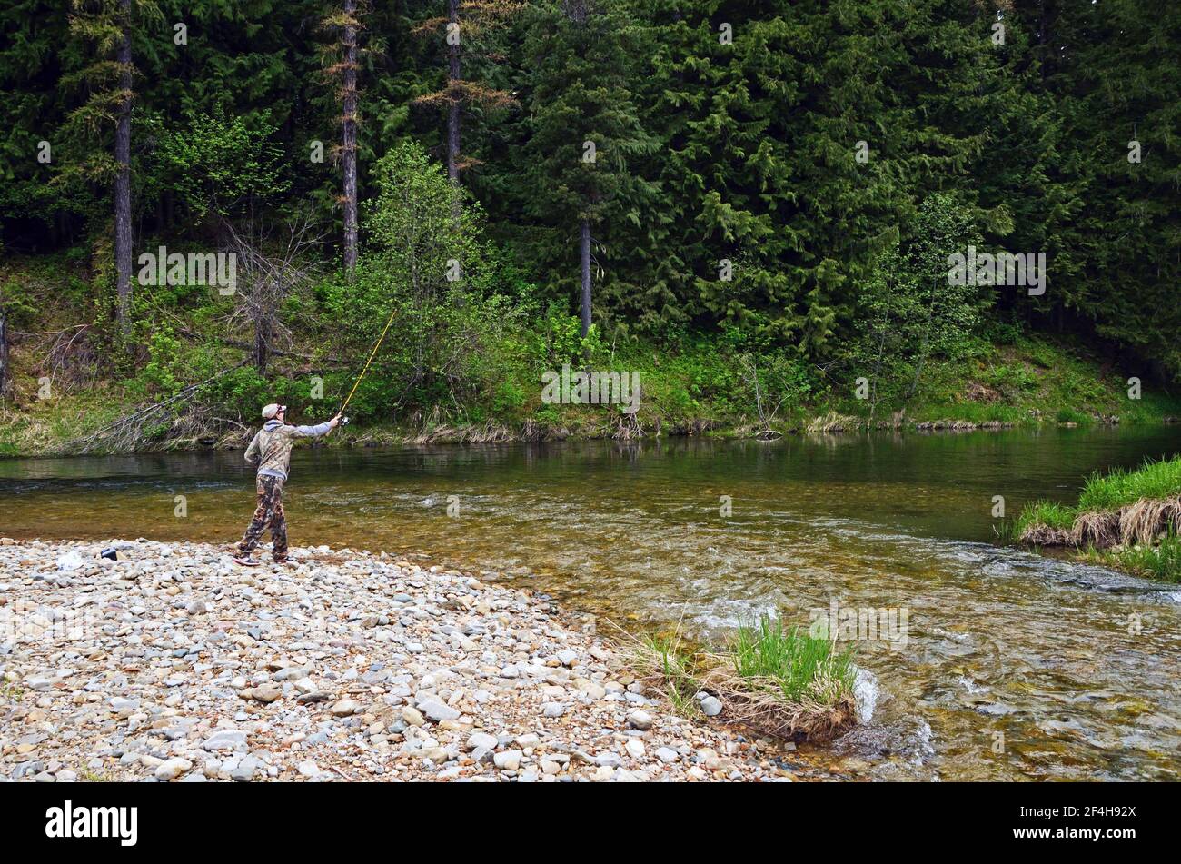 Giovane donna che pesca il fiume Bull alla confluenza del fiume Bull East Fork. Montana nord-occidentale. (Foto di Randy Beacham) Foto Stock