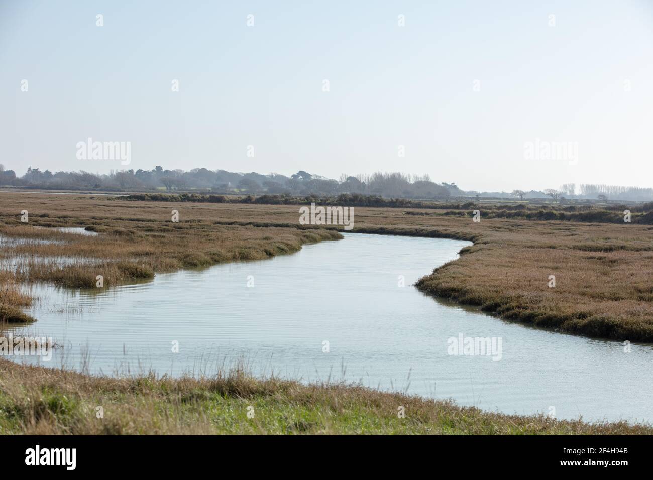 Vista di un meandering canale marea visto nel salmarsh di Sidlesham Quay, Pagham, West Sussex, Regno Unito. Foto Stock
