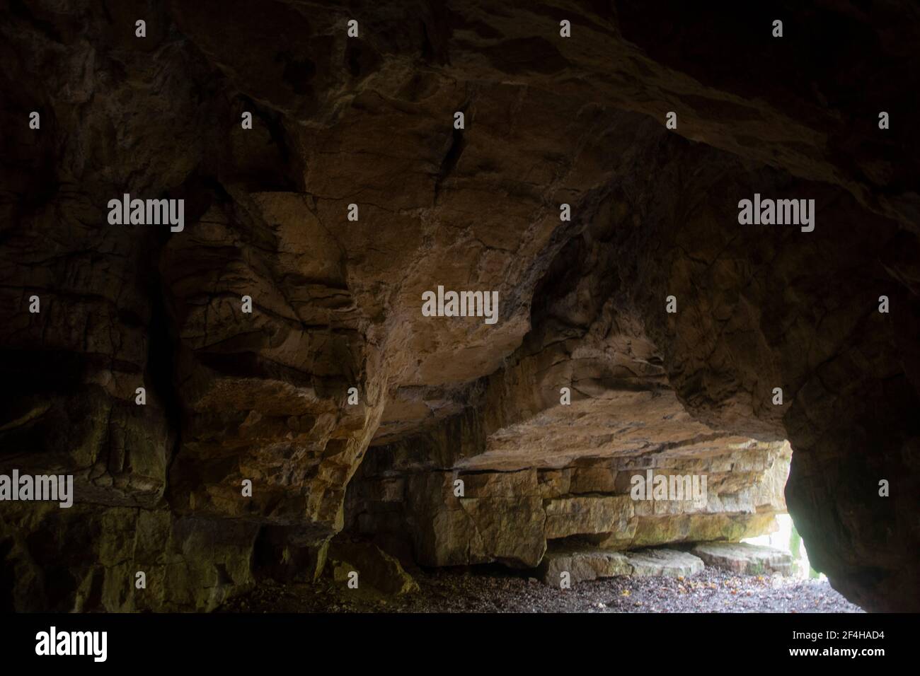 Eingangsbereich der Bruderloch-Höhle im Kanton Baselland Foto Stock