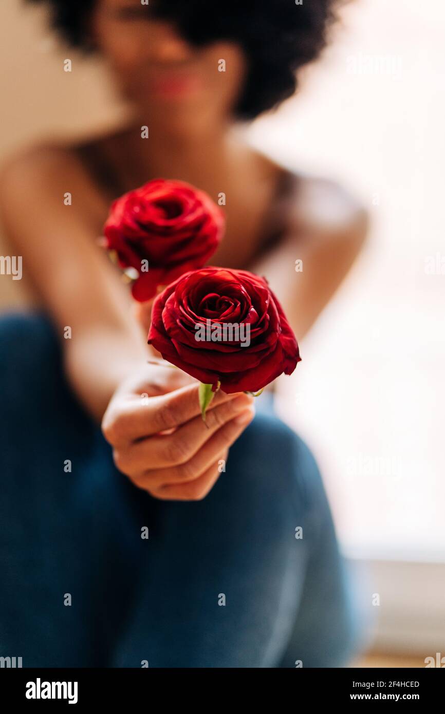 Crop anonimo African American femmina seduta a casa e mostrando teneri fiori di rosa rossa a macchina fotografica Foto Stock