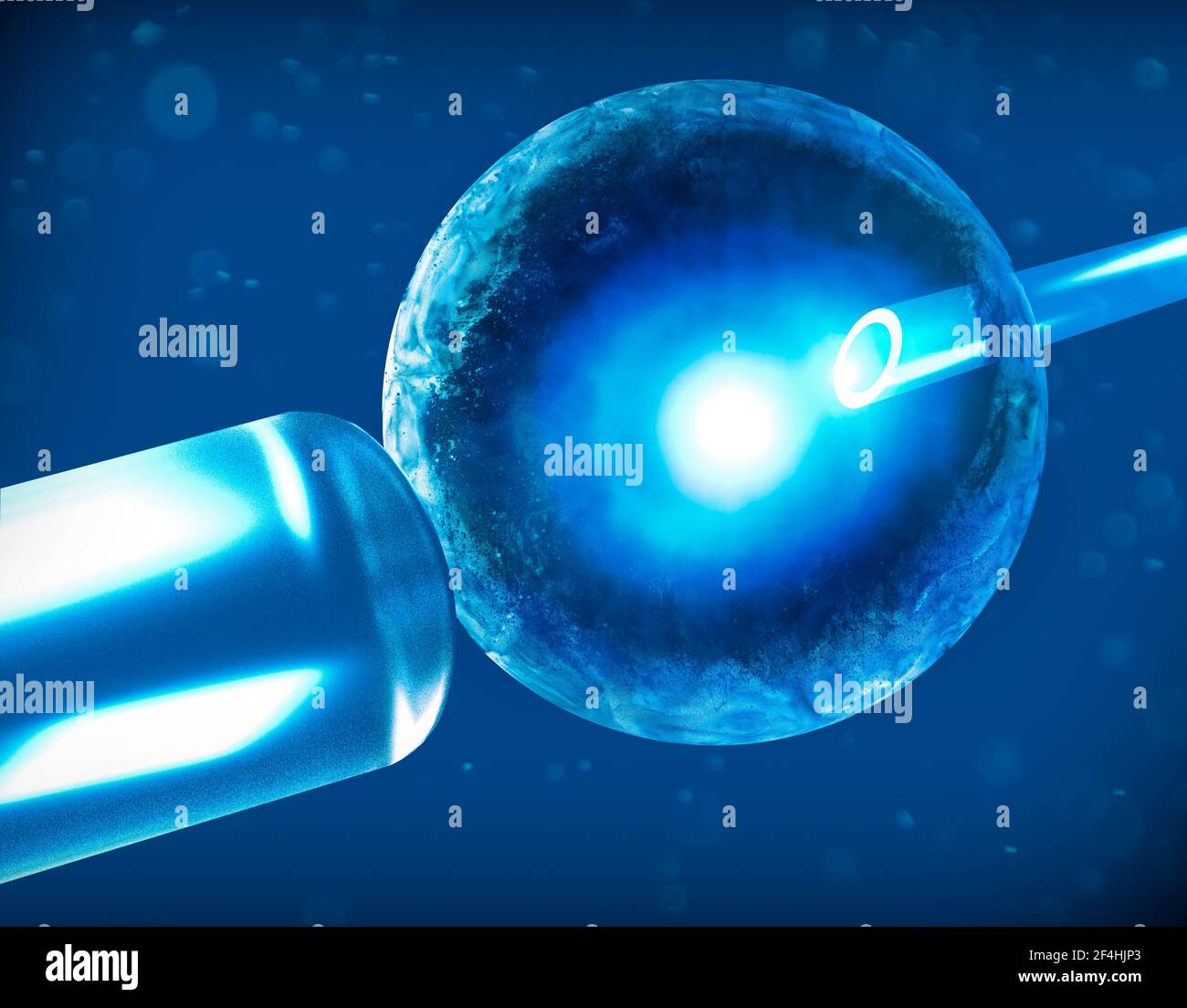 Artificiale o fecondazione assistita è il processo mediante il quale l'unione dei gameti artificialmente è effettuata mediante osservazione al microscopio Foto Stock