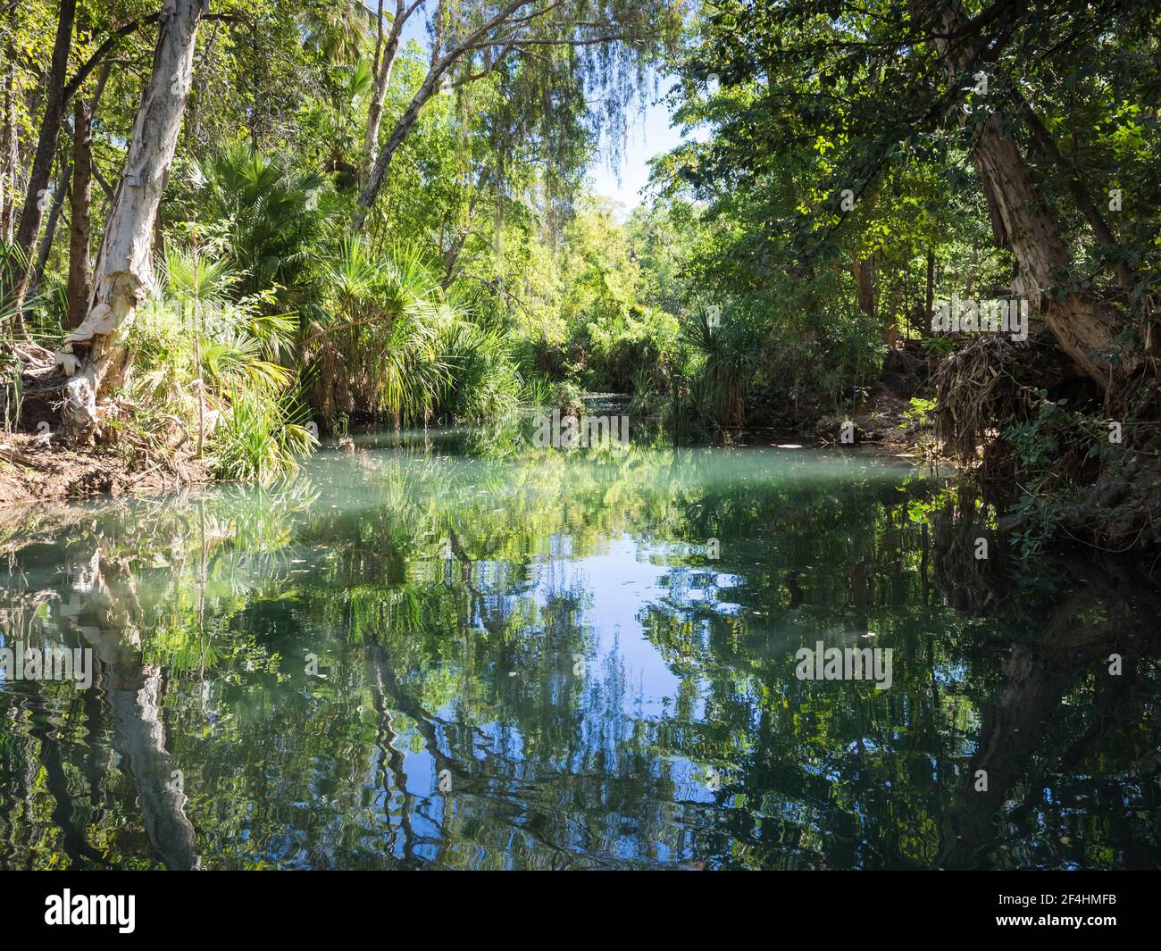 Le lussureggianti acque turchesi alberate del Lawn Hill Creek vicino alla gola inferiore, Boodjamulla National Park, Queensland Foto Stock