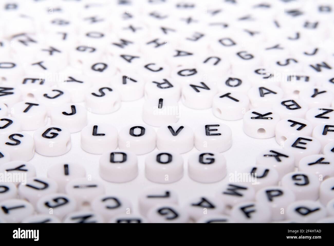 Amo i blocchi di lettera bianca del cane Foto Stock