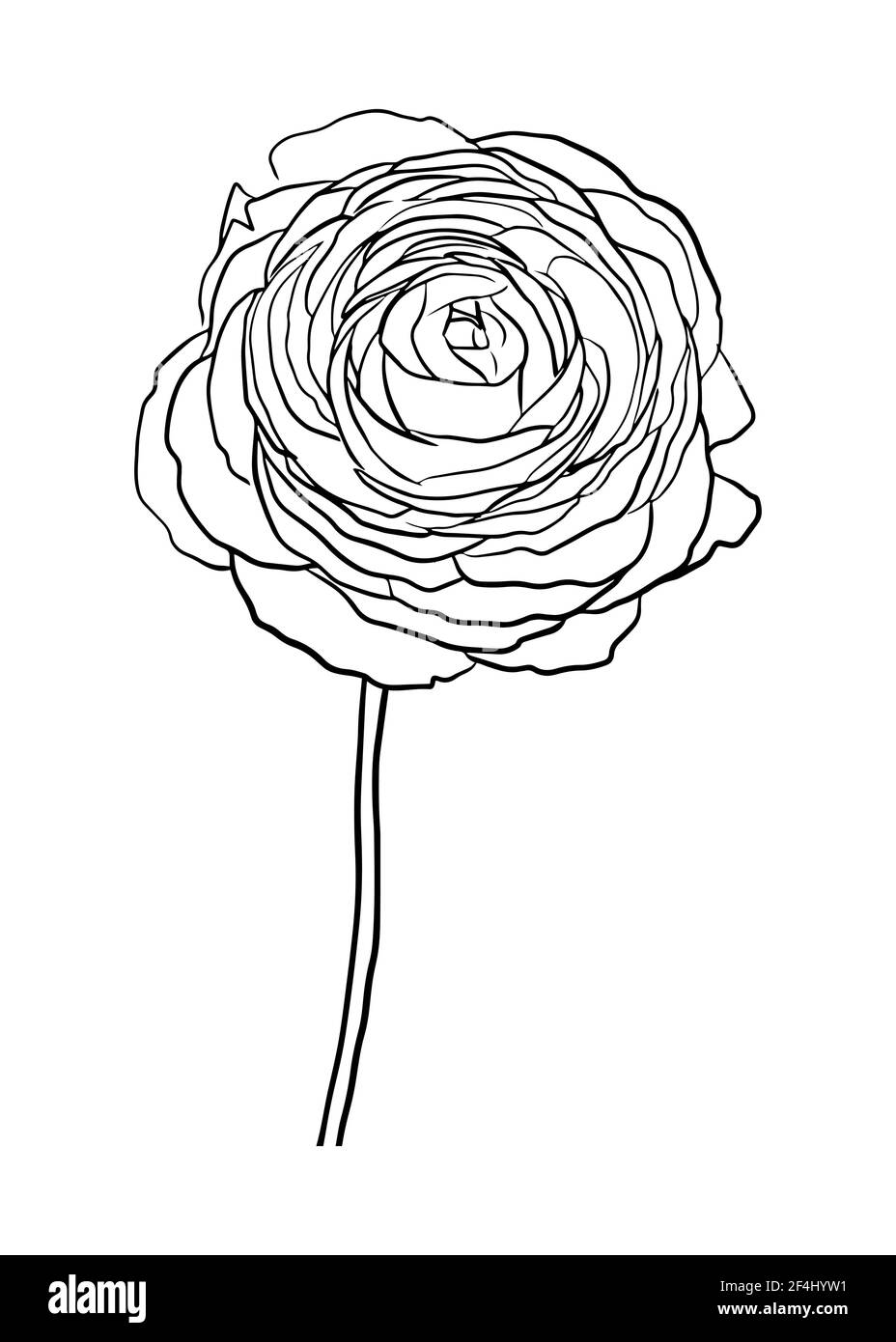 Illustrazione vettoriale di una rosa. Stile Doodle. Adatto per la progettazione, la stampa, la decorazione, i tessuti, la carta e le colorazioni. Illustrazione Vettoriale