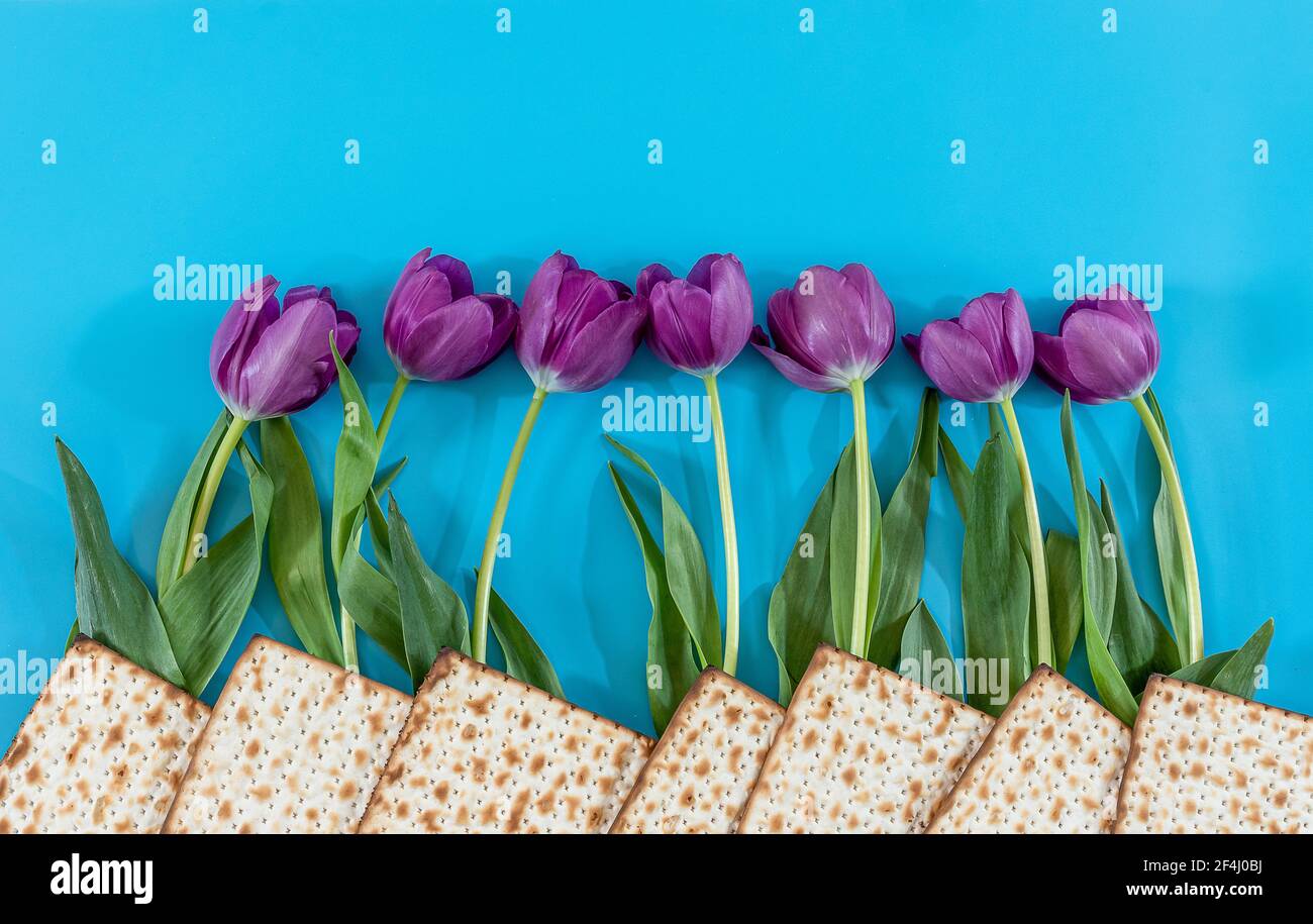 Matzos e fiori su sfondo blu. Passover (Pesach) Seder Foto Stock