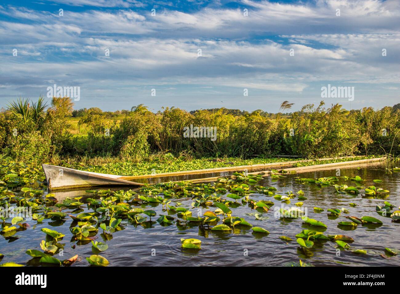 Una canoa scavata in parte, vista da un idroscivolante vicino alla tribù Seminole del Billie Swamp Safari della Florida. Foto Stock