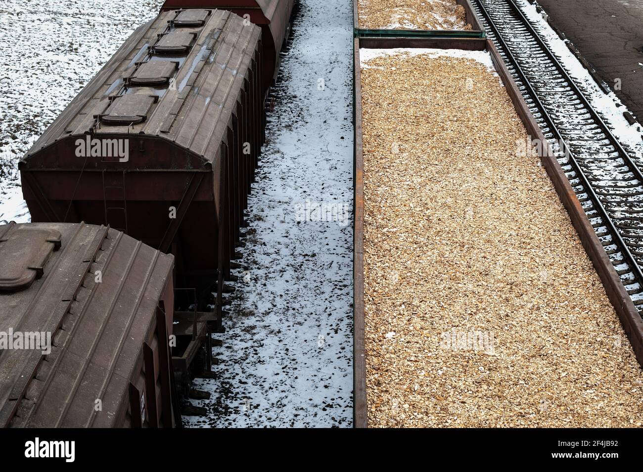 Vagoni ferroviari con trucioli di legno e cereali. Logistica ed esportazioni. Foto Stock