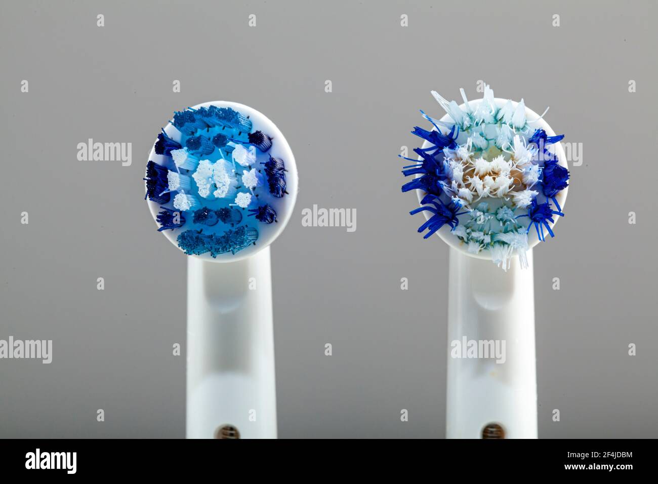 Immagine isolata di due testine per spazzolino elettrico in primo piano rispetto a una accanto all'altra. Macro foto mostra un nuovo di zecca a sinistra e un usurato sporco sbiadito con me Foto Stock