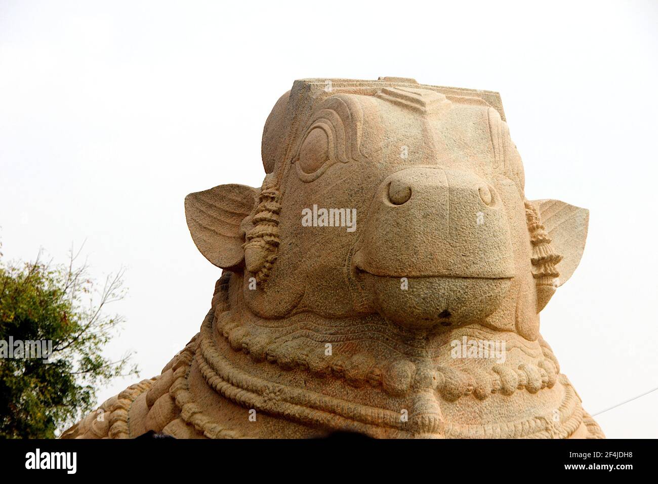 Primo piano della faccia della grande statua in pietra di Nandi a Lepakshi ad Andhra Pradesh, India. Asia Foto Stock