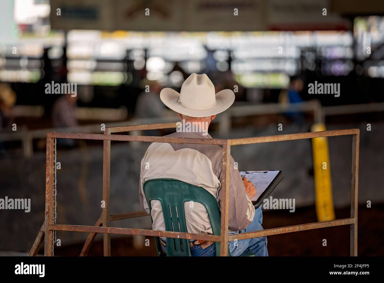 Giudice in abbigliamento cowboy siede in torre a giudicare un taglio concorrenza Foto Stock