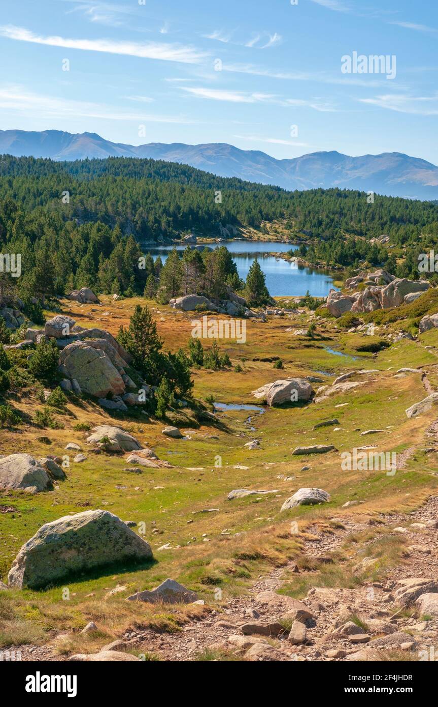 Il lago ‘Etang sec’, parte dei laghi Bouillouses, un sito naturale nella regione di Capcir, Parco Naturale Regionale dei Pirenei Catalani, Pirenei Orientali Foto Stock