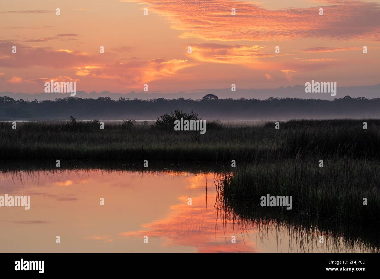 Alba sulle paludi saline e sul fiume Tolomato in Florida. Foto Stock