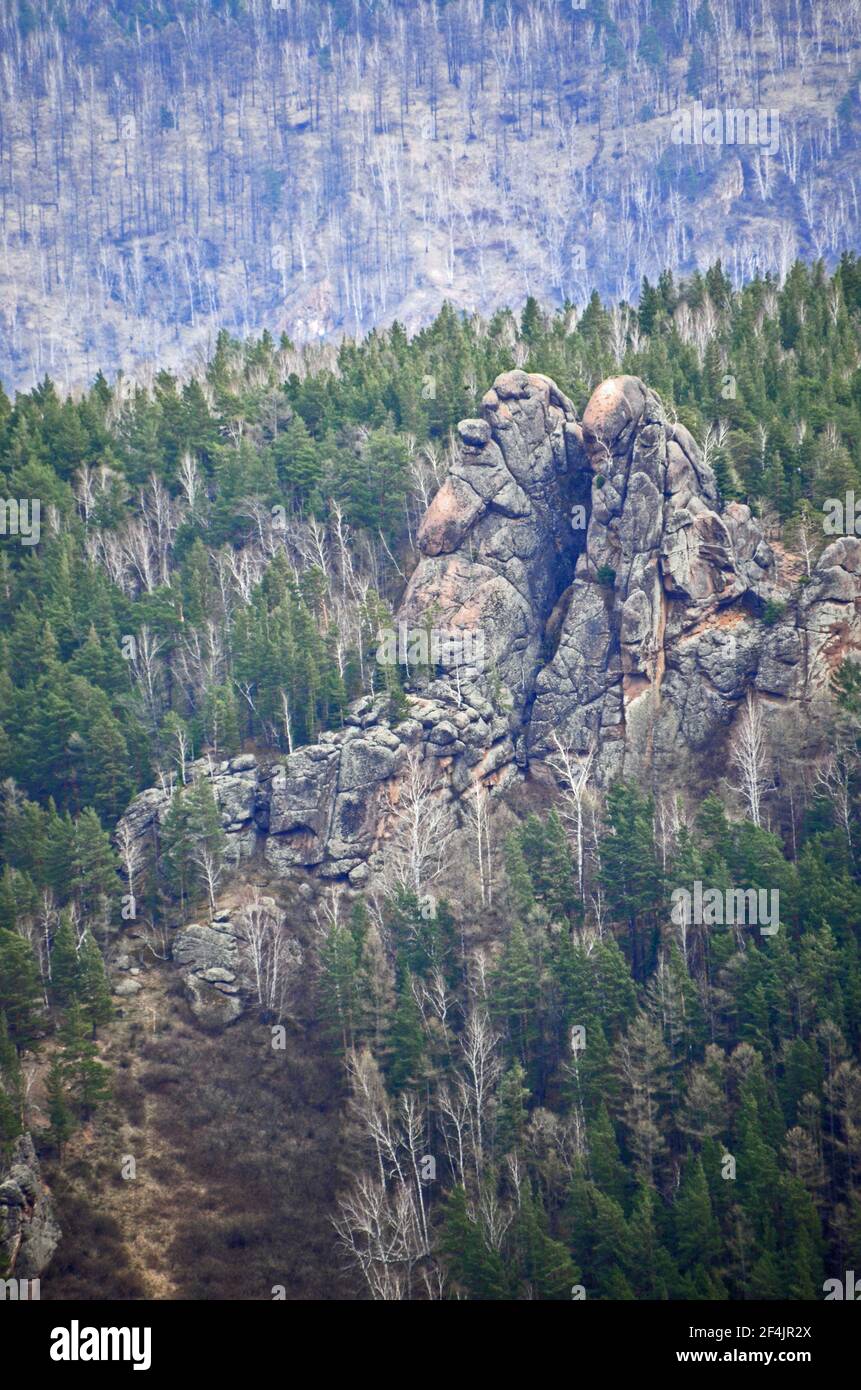 Sperone di roccia in natura Stolby Santuario, Krasnoyarsk, Siberia, Russia Foto Stock