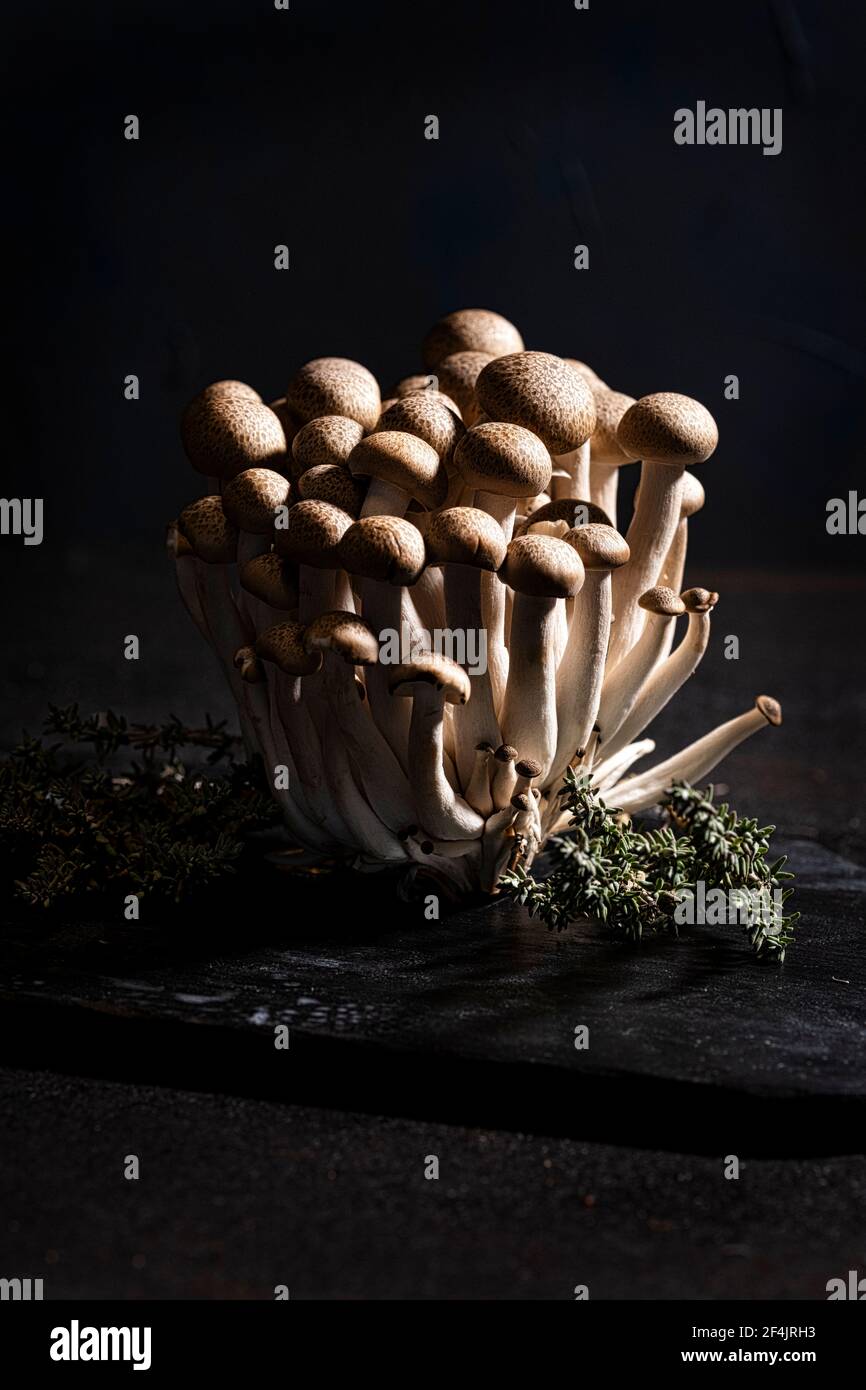 Gruppo di funghi shimeji marrone su tavola di legno nero decorata con timo, fondo nero, Foto Stock