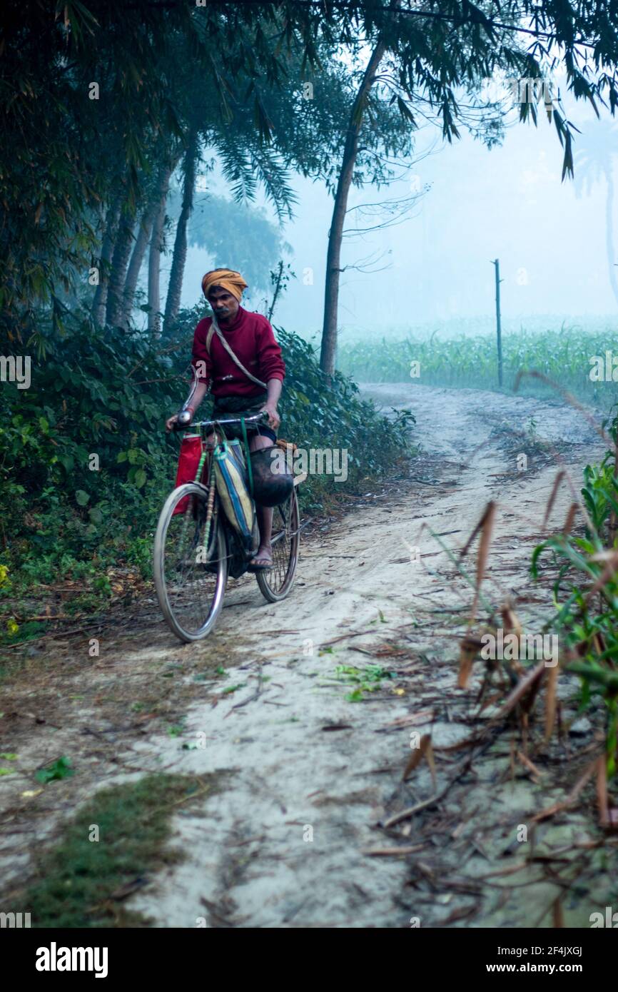 Una persona in bicicletta su strada tra la foresta Begusarai, bihar, india 20-01-2021 Foto Stock